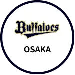 Buffaloes